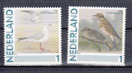 Nederland Persoonlijke Zegels: Vogels, Birds, : Kokmeeuw + Koperwiek ; Black-headed Gull + Redwing - Nuovi