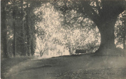 BELGIQUE - Botassart - Le Vieux Tilleul Du Château Du Baron De Moffarts - Carte Postale Ancienne - Bouillon