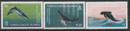 TURKS & CAICOS - N°627/9 ** (1983) Faune Marine : Baleines - Turks & Caicos