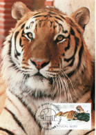 PORTUGAL, MC,  Tiger  /  Carte Maximume, Tigre  1984 - Big Cats (cats Of Prey)