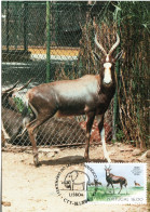 PORTUGAL, MC,  Antelope   /  Carte Maximume, Antilope    1984 - Wild