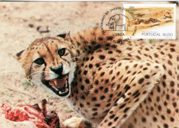 PORTUGAL, MC,  Cheetah    /  Carte Maximume, Guépard    1984 - Raubkatzen