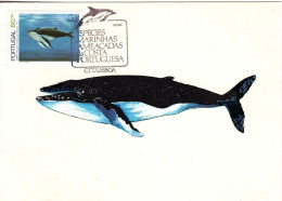 PORTUGAL, MC,  Whale    /  Carte Maximume, Baleine   1984 - Ballenas