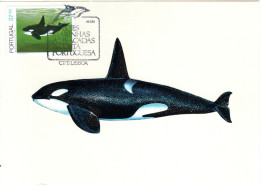 PORTUGAL, MC,  Killer Whale    /  Carte Maximume, Orca    1984 - Balene