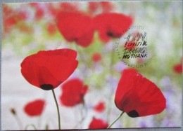 ISRAEL1993 MAXIMUM CARD POSTCARD WILD FLOWERS POPPY FIRST DAY OF ISSUE CARTOLINA CARTE POSTALE POSTKARTE CARTOLINA - Cartes-maximum