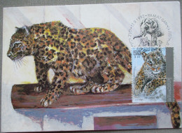 ISRAEL1992 MAXIMUM CARD POSTCARD LEOPARD JERUSALEM ZOO FIRST DAY OF ISSUE CARTOLINA CARTE POSTALE POSTKARTE CARTOLINA - Maximumkaarten