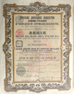 S.A. Russe De L'Ind.Houillière Et Métallurgique Dans Le Donetz  - Act.de 125 Roubles Or (1895) - Industrial
