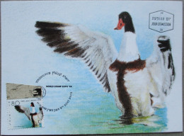 ISRAEL1988 MAXIMUM CARD POSTCARD DUCK SHELDUCK FIRST DAY OF ISSUE CARTOLINA CARTE POSTALE POSTKARTE CARTOLINA - Maximumkaarten