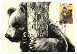 SLOVAKIA  MC,   Brown Bear     /  SLOVAQUIE  Carte Maximume, L`ours Bruin   2001 - Ours