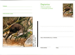 SLOVENIA, Picture Postcard, Otter   /  SLOVÉNIE, Carte Postale, Loutre - Altri & Non Classificati