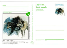 SLOVENIA, Picture Postcard, Wolves    /  SLOVÉNIE, Carte Postale, Loups - Altri & Non Classificati