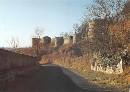 02 - COUCY LE CHATEAU LES REMPARTS - COTE DE SOISSON - VOIR SCAN - Other & Unclassified