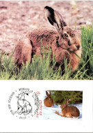 GERMANY  MC, Hare    /    ALLEMAGNE Carte Maximume,  Lapin   2006 - Rabbits