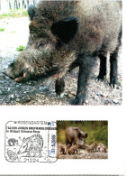 GERMANY  MC, Wild Boar    /    ALLEMAGNE Carte Maximume,  Sanglier    2006 - Selvaggina