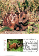 GERMANY  MC, Deer   /    ALLEMAGNE Carte Maximume,  Chevreuil, Faon    2006 - Animalez De Caza