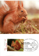 GERMANY  MC, Squirrel      /    ALLEMAGNE Carte Maximume,  L`ecureuil    2006 - Altri & Non Classificati