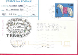 INTERO CARTOLINA POSTALE FIERA VERONA (INT. 211) CON REPIQUAGE AL VERSO DA ROMA CENTRO*18.4.89* PER FORLIMPOPOLI - Ganzsachen