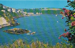 Readymoney Cove, Fowey  - Cornwall - Unused Postcard - Cor4 - Other & Unclassified