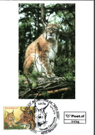 AUSTRIA  MC, Lynx   /    AUTRICHE Carte Maximume, Caracal   2008 - Roofkatten