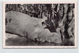 Niger - Hippopotame Chassé Sur Le Fleuve Niger - Ed. G. Labitte 26 - Níger