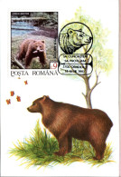 ROMANIA Postcard, Brown Bear    /    RUMANIE  Carte Postal, L`ours Bruin - Bears