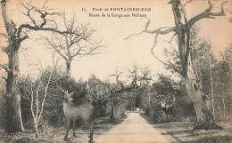 FRANCE - Forêt De Fontainebleau - Vue Sur La Route De La Gorgeaux Néfliers - Vue Générale - Carte Postale Ancienne - Fontainebleau