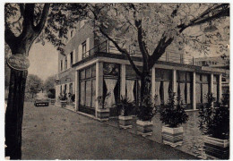 PESCHIERA SUL GARDA - ALBERGO RISTORANTE BEL SITO - VERONA 1957 - Vedi Retro - Verona