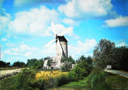 ►  Moulin Dans Le Marais Moulin De Raire Sallertaine Dernier Moulin à Vent En Activité - Moulins à Vent