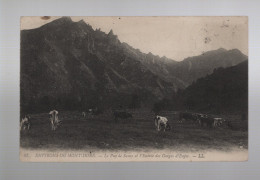 CPA - 63 - Environs Du Mont-Dore - Le Puy De Sancy Et L'Entrée Des Gorges D'Enfer - Circulée En 1912 - Le Mont Dore