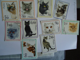 POLAND POLSKA  USED  STAMPS SET 8 CAT CATS - Félins