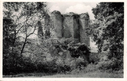 BELGIQUE - Theux - Ruines Du Château De Franchimont - Façade Sud Vue Des Donjons - Carte Postale Ancienne - Theux