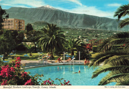 ESPAGNE - Canary Islands - Tenerife - Beautiful Northern Landscape - Carte Postale - Tenerife