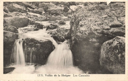 BELGIQUE - Waimes - Vallée De La Hoëgne - Les Cascades - Carte Postale Ancienne - Weismes