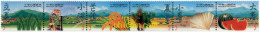 4736 MNH CHINA. FORMOSA-TAIWAN 2000 LOS 24 PERIODOS DEL CALENDARIO AGRICOLA ANTIGUO - Nuevos