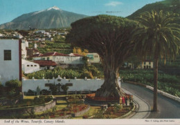 102593 - Spanien - Icod De Los Vinos - 1978 - Tenerife