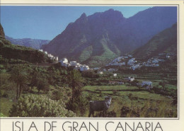 133515 - Gran Canaria - Spanien - Valle De Agaete - Gran Canaria