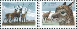 127871 MNH CHINA. República Popular 2003 FAUNA - Unused Stamps