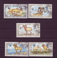 Asie - Mongolie - Faune - 5 Timbres Différents - 7017 - Mongolie