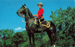 MILITARIA - Royal Canadian Mounted Police - Carte Postale - Otros & Sin Clasificación