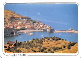 COLLIOURE Vue Generale Depuis Le Fort St Elme 17(scan Recto-verso) MA908 - Collioure