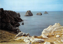 Presqu Ile De CROZON Camaret Sur Mer Les Tas De Pois 18(scan Recto-verso) MA906 - Crozon