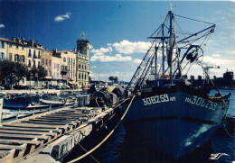 LA CIOTAT Le Vieux Port Et L Hotel De Ville 3(scan Recto-verso) MA934 - La Ciotat