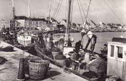 SAINT VAAST LA HOUGUE(PECHEUR) - Saint Vaast La Hougue