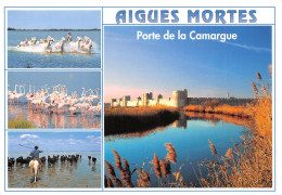 AIGUES MORTES Cite De Saint Louis 16(scan Recto-verso) MA961 - Aigues-Mortes