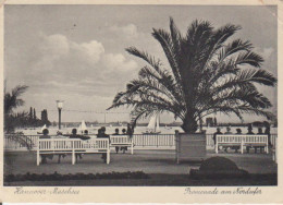 Hannover-Maschsee Promenade Am Nordufer Gl1939 #222.276 - Autres & Non Classés