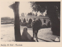 Tunesien: Medjez El Bak - Le Pont Ngl #223.500 - Sin Clasificación