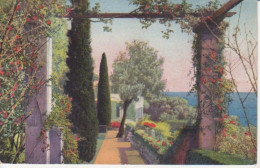 Beaulieu Sur Mer - Garten Mit Blick Auf Meer Ngl #222.322 - Peintures & Tableaux