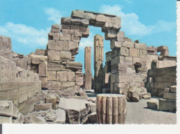 Ägypten: Karnak - Heraldic Pillars In Amon Temple / Siegessäulen Ngl #222.464 - Non Classificati