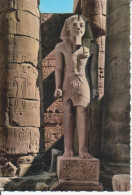 Ägypten: Luxor - Ramses II Statue Ngl #223.695 - Unclassified