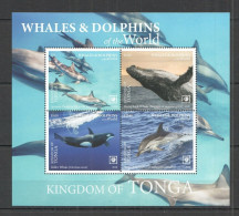 Tonga - 2020 - Whales And Dolphins - Yv Bf 115 - Ballenas